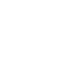 Expert Guidance Icon